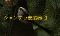 ジャンブラ安装器  1.3.0