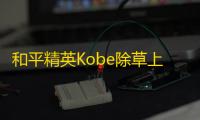 和平精英Kobe除草上色透视辅助安卓版